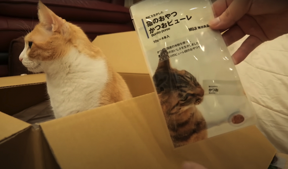 「素材を生かした猫のおやつ かつおピューレ 4本入」（350円）