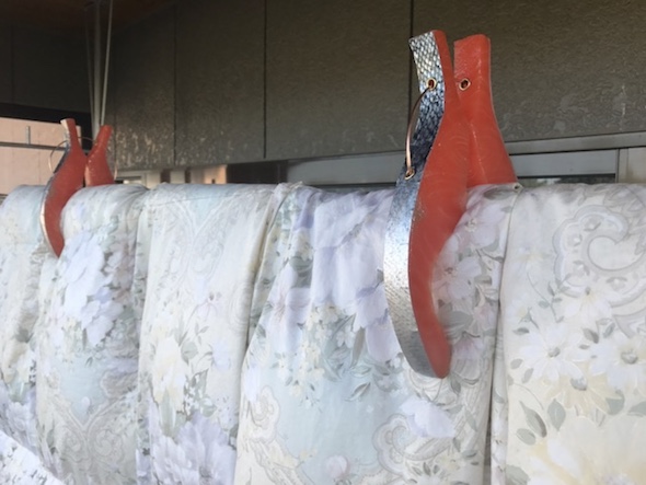 鮭布団バサミ（生）