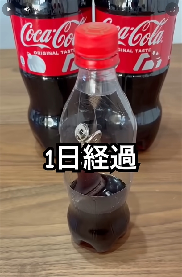 コーラグミ実験