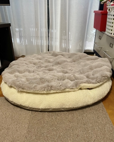 丸型のクッションが2個