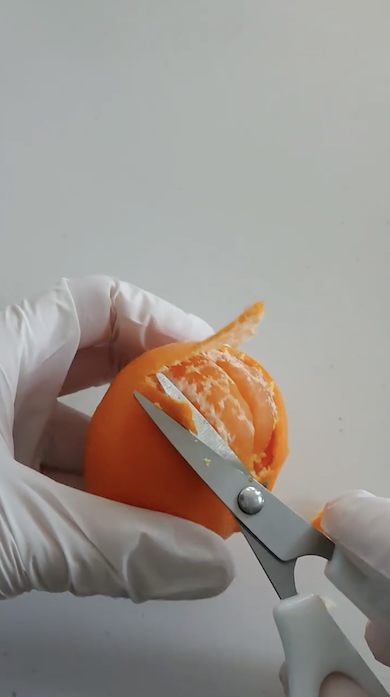 みかんでコダック