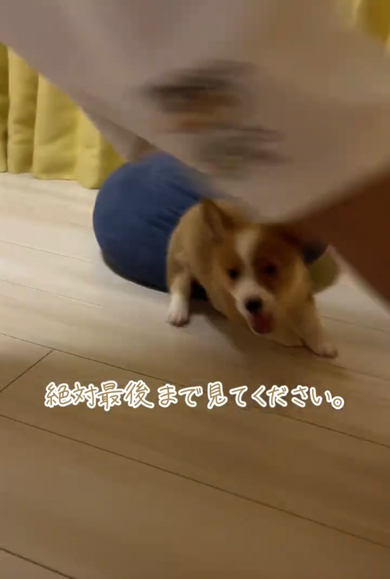 方向転換も上手にできました