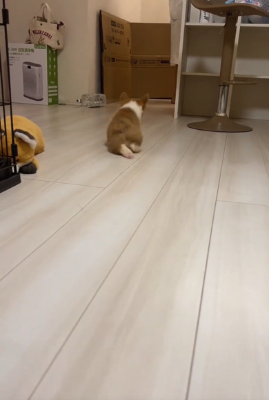 しかし、突然の電池切れ