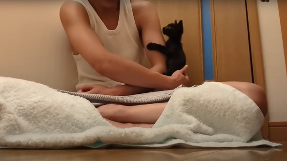 真っ暗闇で拾った子猫