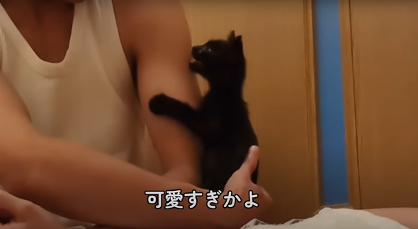 真っ暗闇で拾った子猫