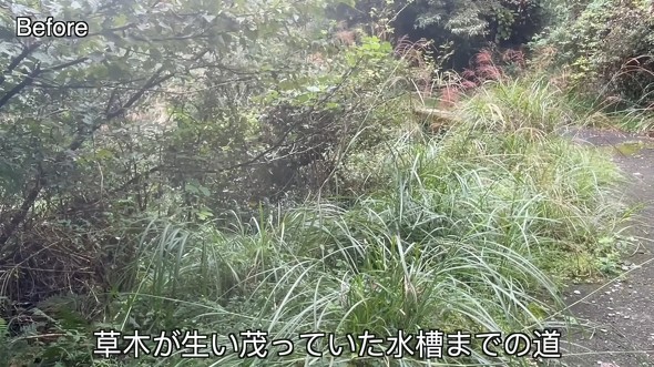 山奥の放置された水源を掃除して水を引いた人