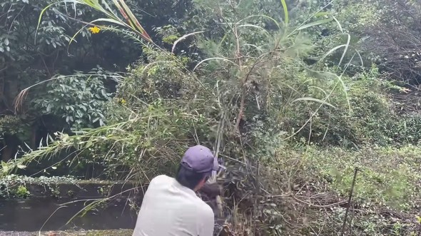 山奥の放置された水源を掃除して水を引いた人