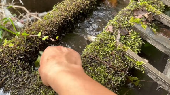 山奥の放置された水源を掃除して水を引いた人