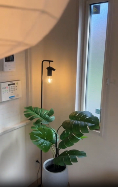 観葉植物と間接照明のすてきな組み合わせ