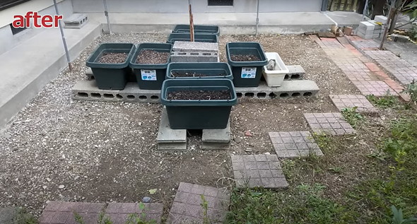 荒れた庭を片付け