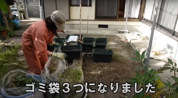 荒れた庭を片付け