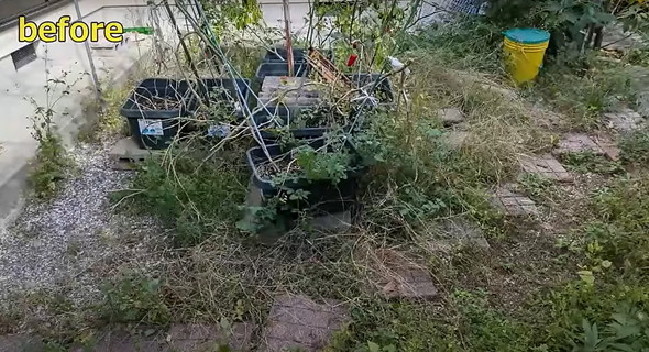 荒れた庭を片付け