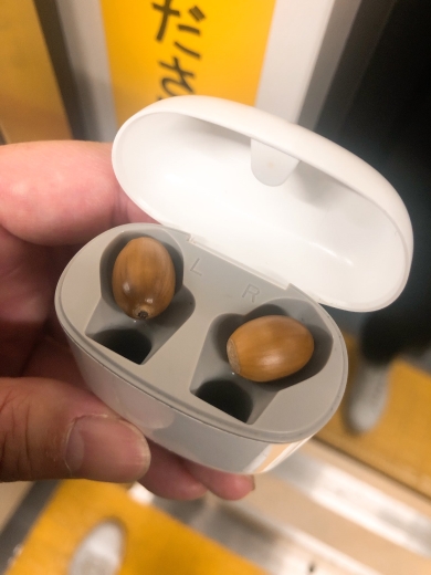 どんぐりが中に入っていました