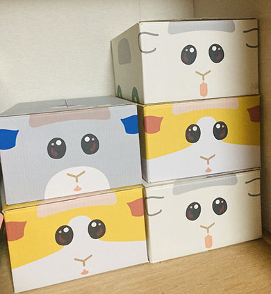 モルカーダンボール・積み上げたところ