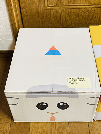 モルカーダンボール・シロモ1