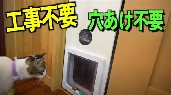 本当に買って良かった猫グッズ