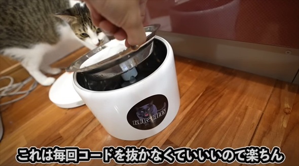 本当に買って良かった猫グッズ