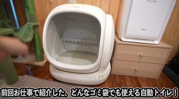 本当に買って良かった猫グッズ