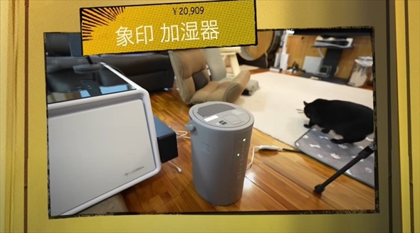 本当に買って良かった猫グッズ