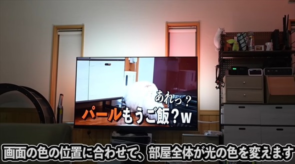 本当に買って良かった猫グッズ