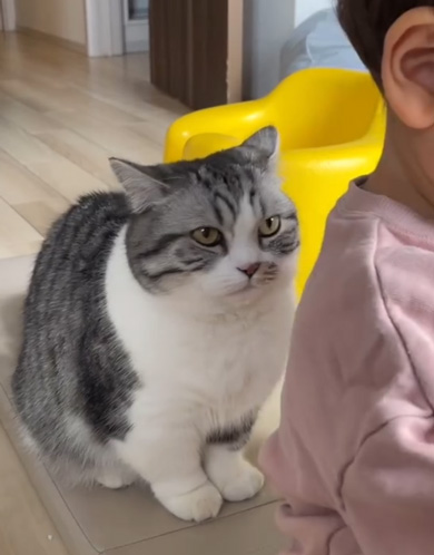 次男を見守る猫のリアクション