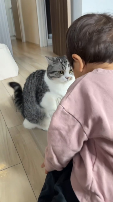 次男を見守る猫のリアクション