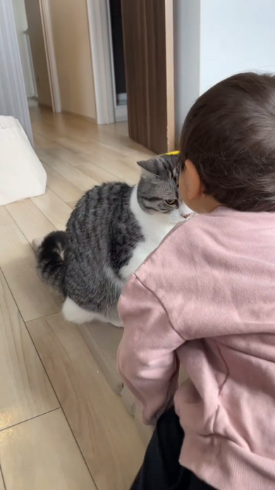 次男を見守る猫のリアクション