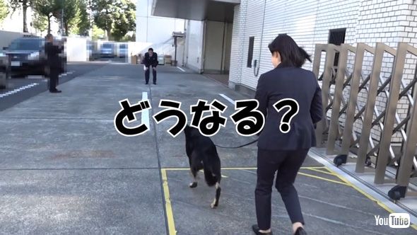 警視庁 公式 警察犬 エースくん お別れ 鑑識課 警察犬係