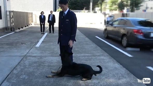 警視庁 公式 警察犬 エースくん お別れ 鑑識課 警察犬係