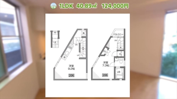 個性的な間取りの物件