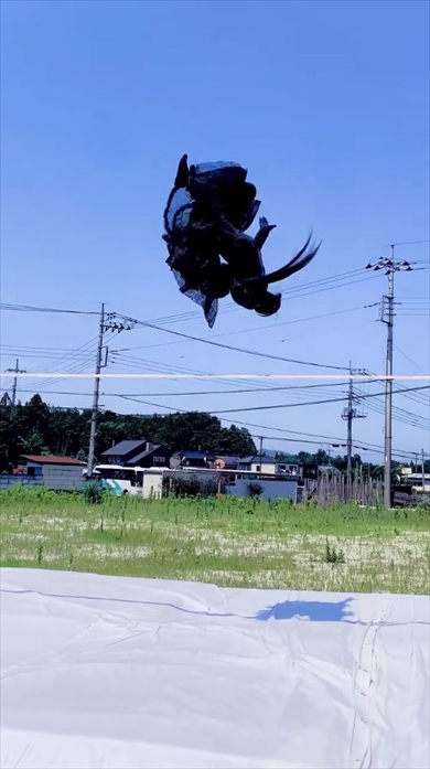 東方「Bad Apple!!」影絵PVを再現