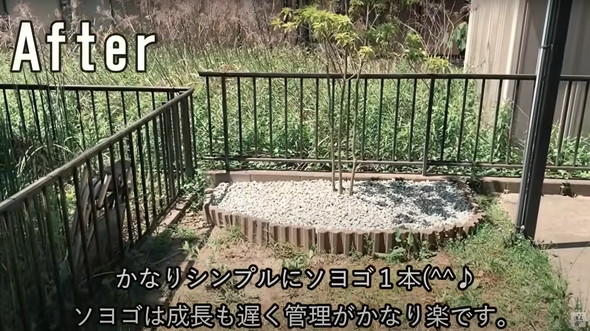 庭師が本気で雑草対策した結果