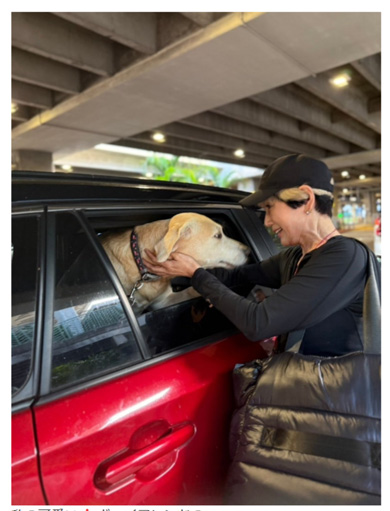 秋野暢子がボーイフレンドに再会