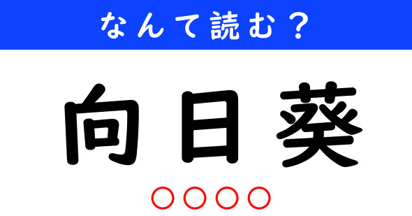 漢字クイズ　難読漢字　向日葵
