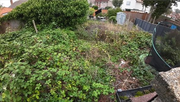 ジャングルのような引っ越し先の庭