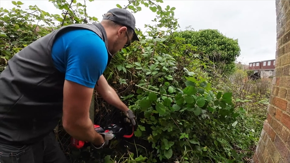 ジャングルのような引っ越し先の庭