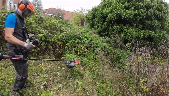 ジャングルのような引っ越し先の庭