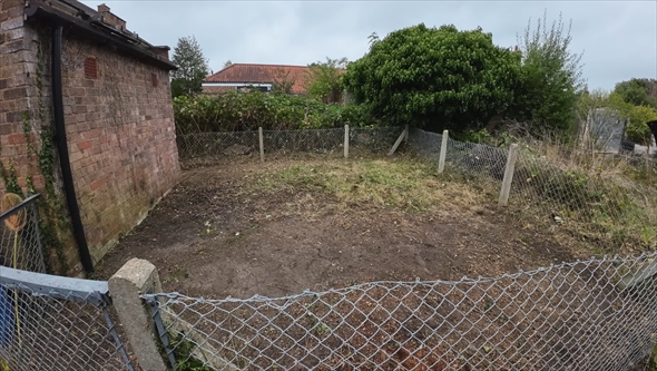 ジャングルのような引っ越し先の庭