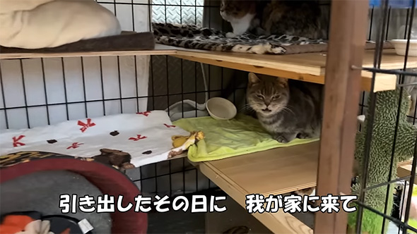 引き出したその日に