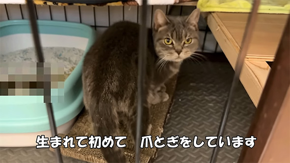 生まれてはじめて