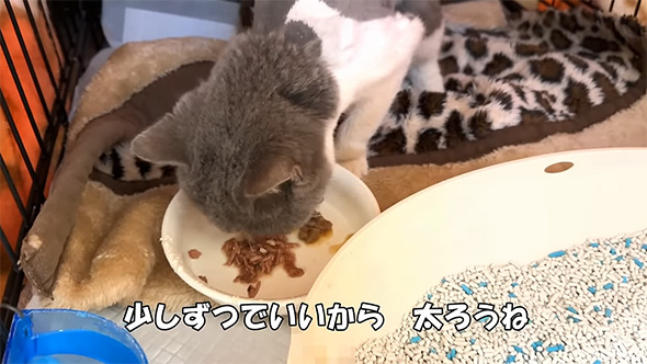 少しずつでいいから