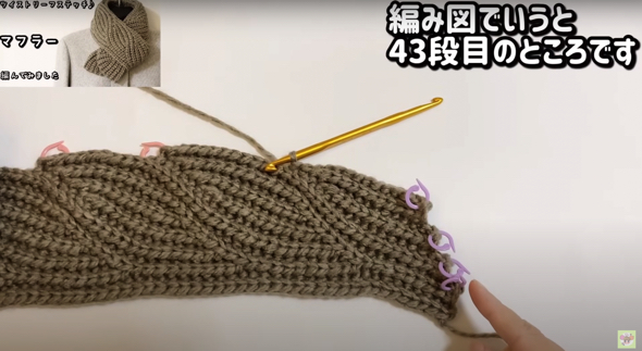 リーフのような模様が見えてきます