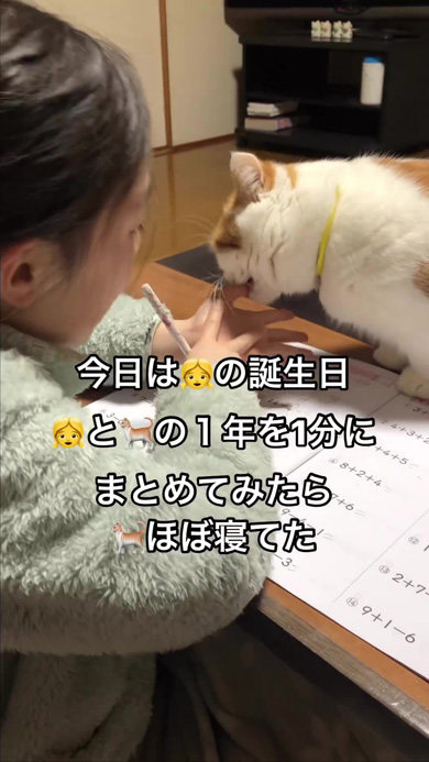 娘の宿題を邪魔する猫