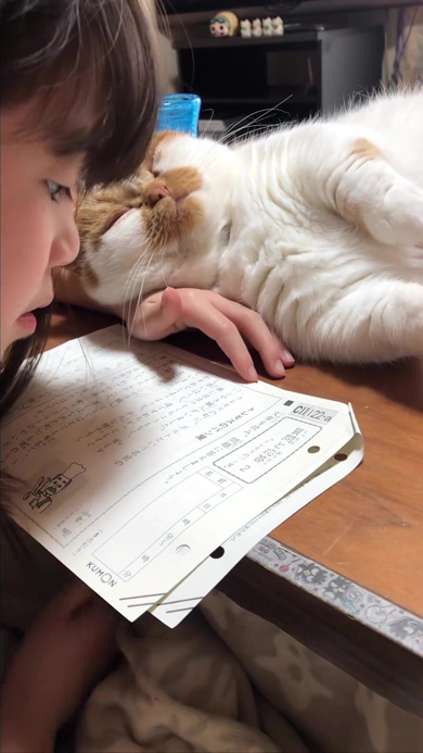 娘の宿題を邪魔する猫