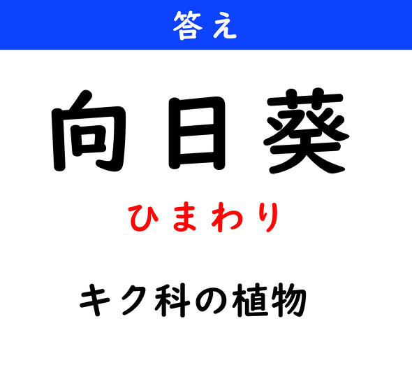 漢字クイズ　難読漢字　向日葵
