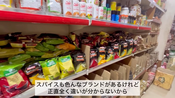 インド 嫁入り 女性 新婚生活 国際結婚 Vlog 日常