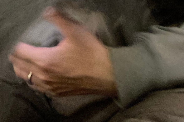 腕から飛び出す猫ちゃんの残像