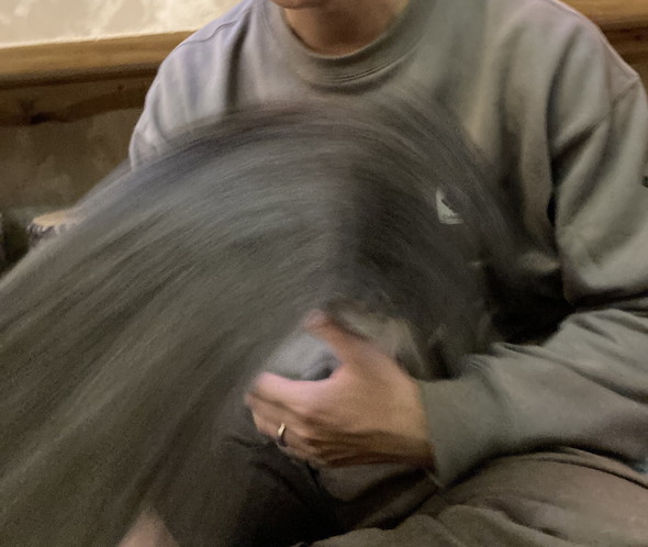 腕から飛び出す猫ちゃんの残像