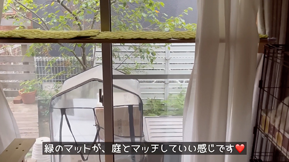 保護猫のためにキャットウォークをDIY