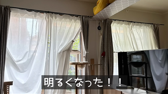 保護猫のためにキャットウォークをDIY